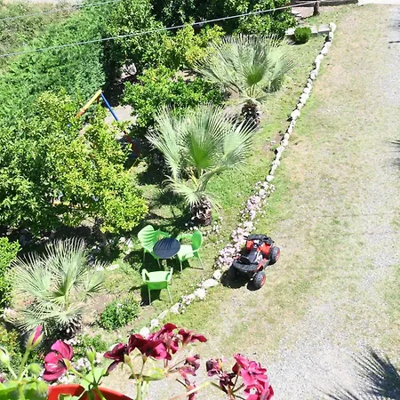 Dushku Shengjin Appartement Polisi i Vogel
